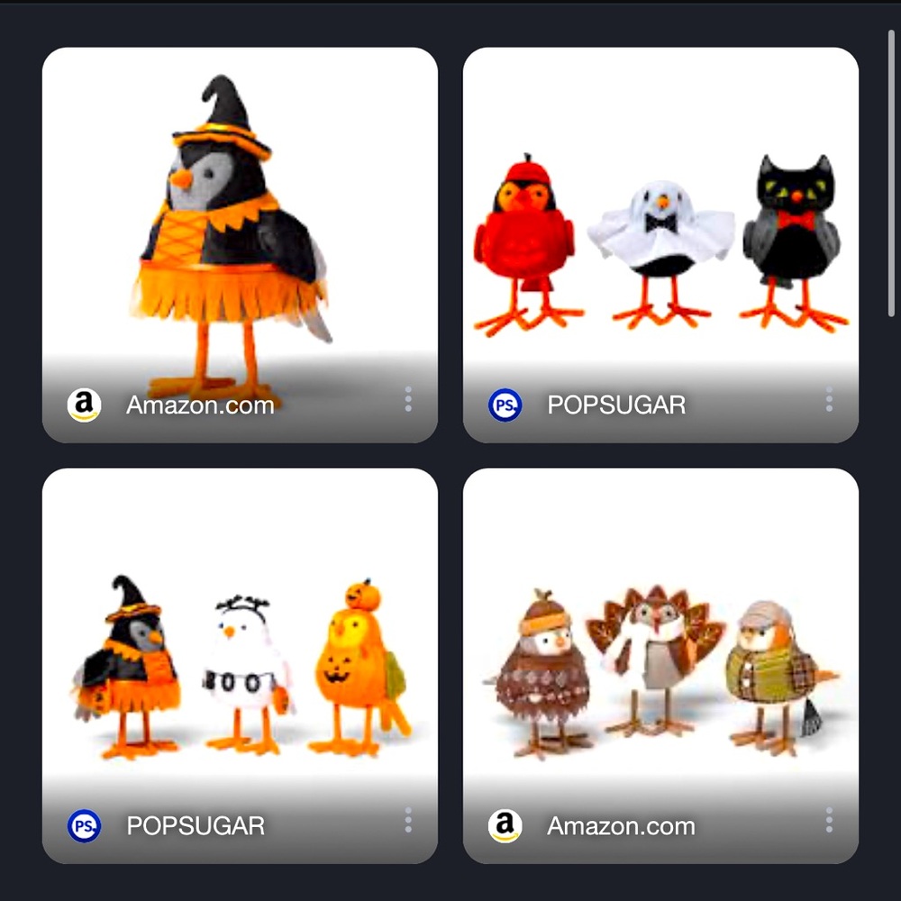 Set of 4 Halloween Hide & EEK birds